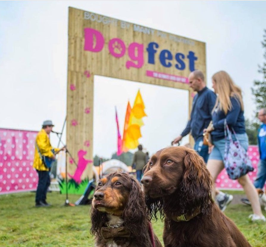 Dogfest