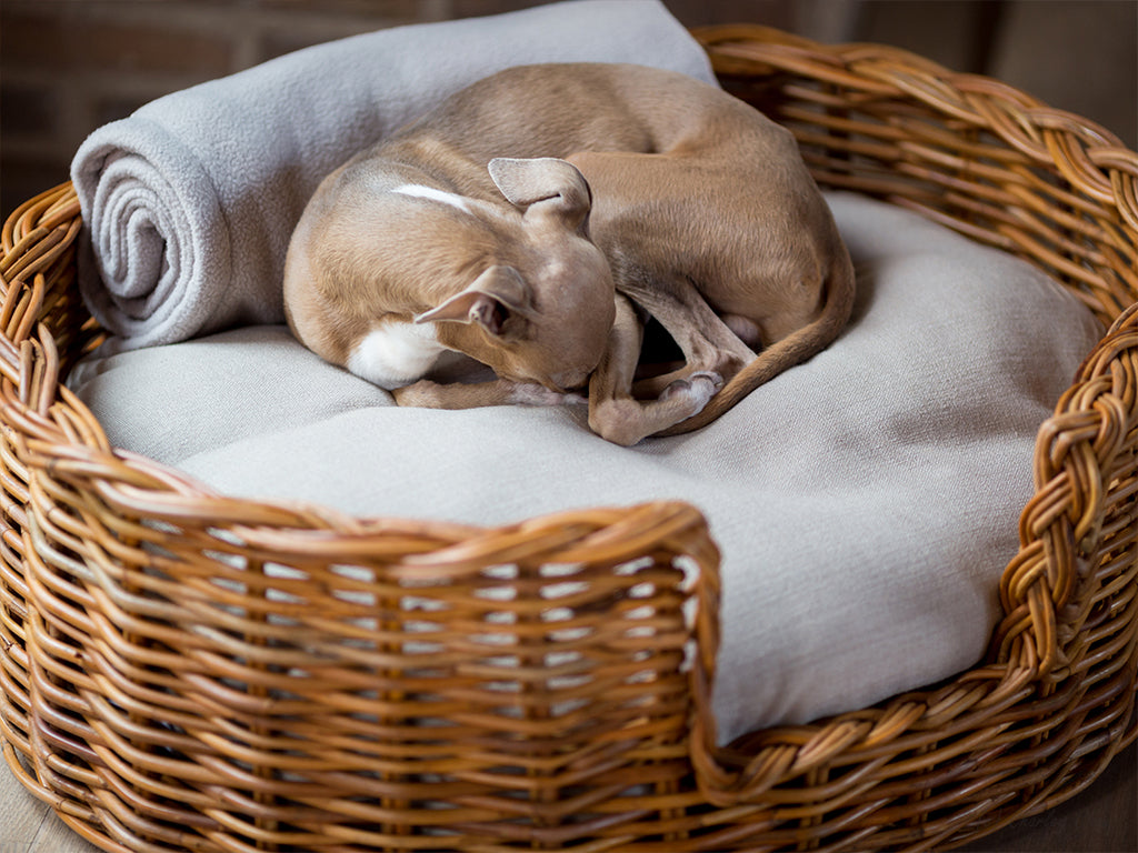 Charley Chau Natural Oval Rattan Dog Basket