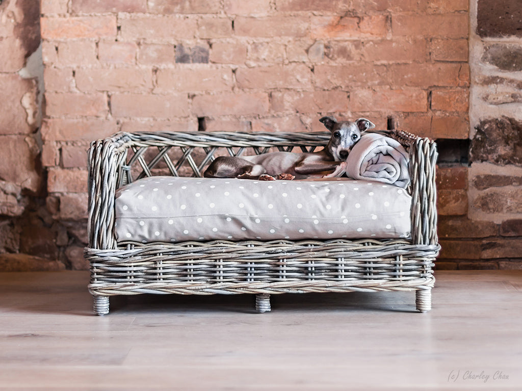 Charley Chau Raised Rattan Dog Bed