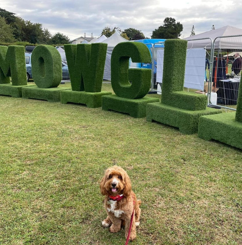 Mowgli Dog Show