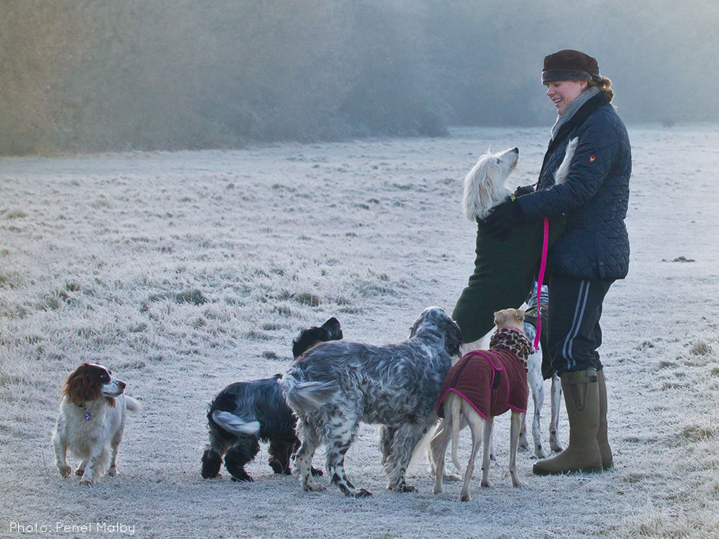 Penel Malby and her gorgeous pack of dogs