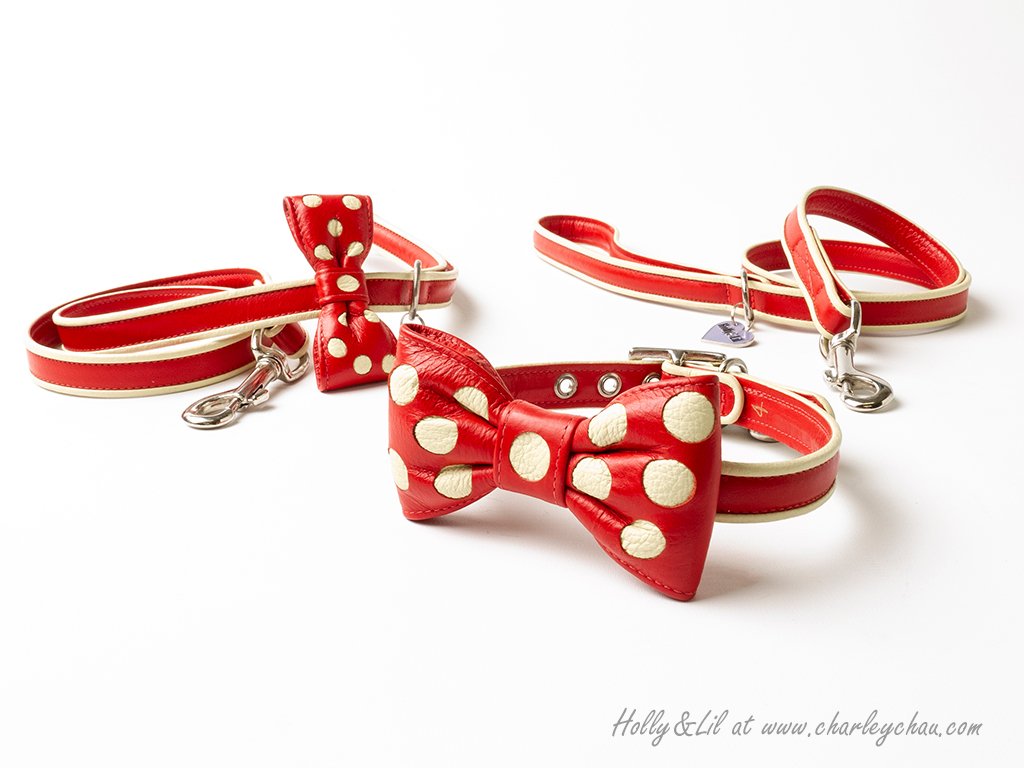 bow tie dog collar and lead