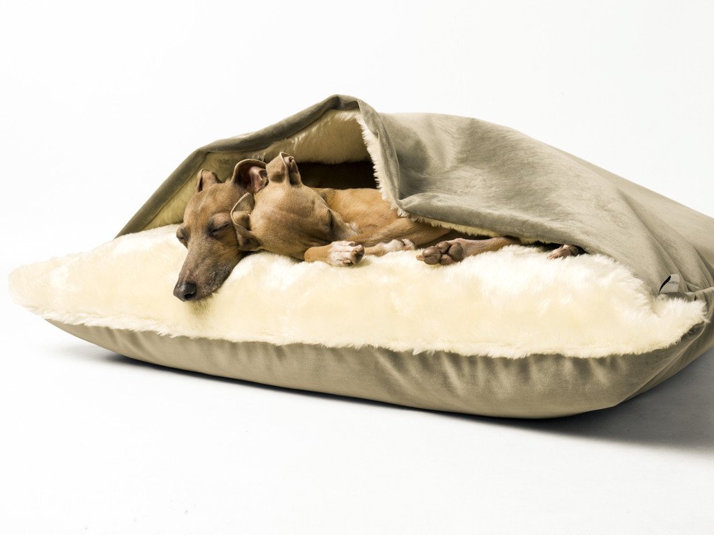 dog snuggle bed