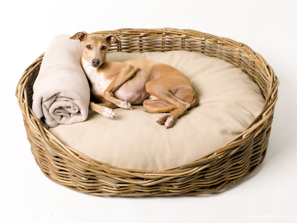Oval Greywash Wicker Dog Bed & Reversible Mattress Set — Charley ...