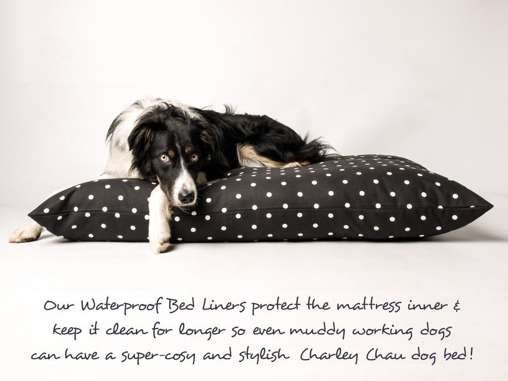 Waterproof Dog Bed Liners Charley Chau Luxury Dog Beds Blankets