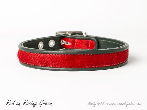 CHARLIE - LEATHER DOG COLLAR – Allen St.