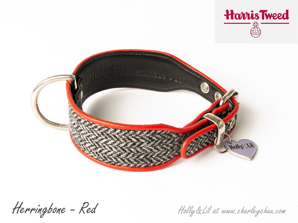 harris tweed puppy collar