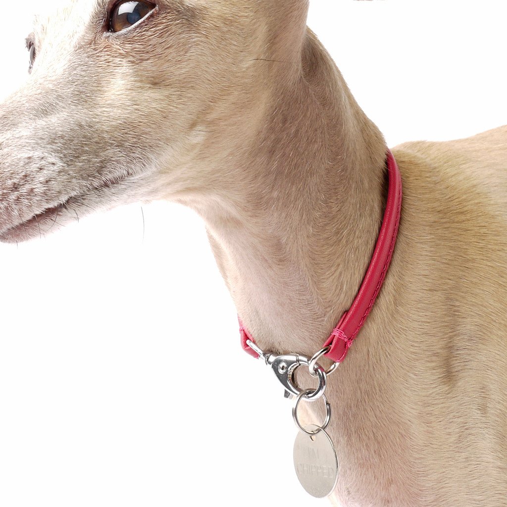 ID Tag Collars / House Collars by 