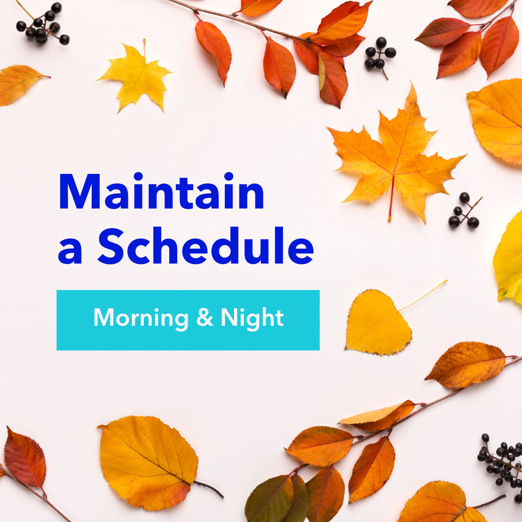 Text on a Leafy Background: Maintain a Schedule Morning and Night