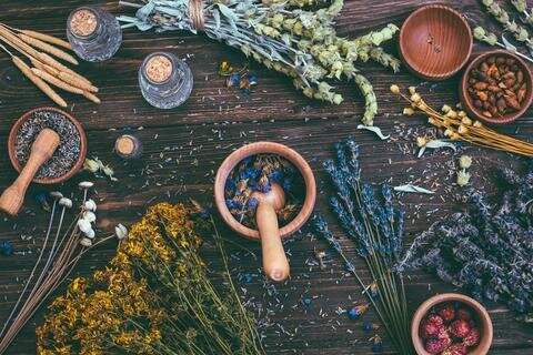 Potions and Herbs