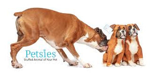 Petsies Custom Stuffed Animals Accessories and Pillows of your Pet
