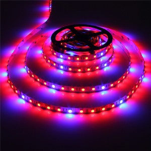 12V_LED_grow_strip_light_-_5-1_ratio_2_1