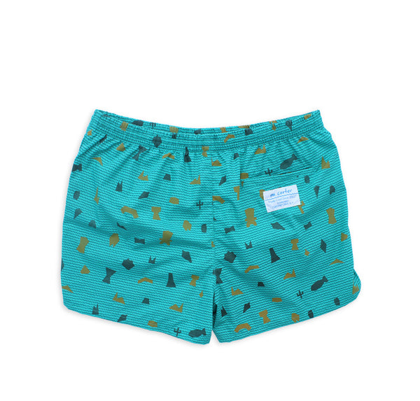 Shapes Swim Trunks (Teal) – M. Carter