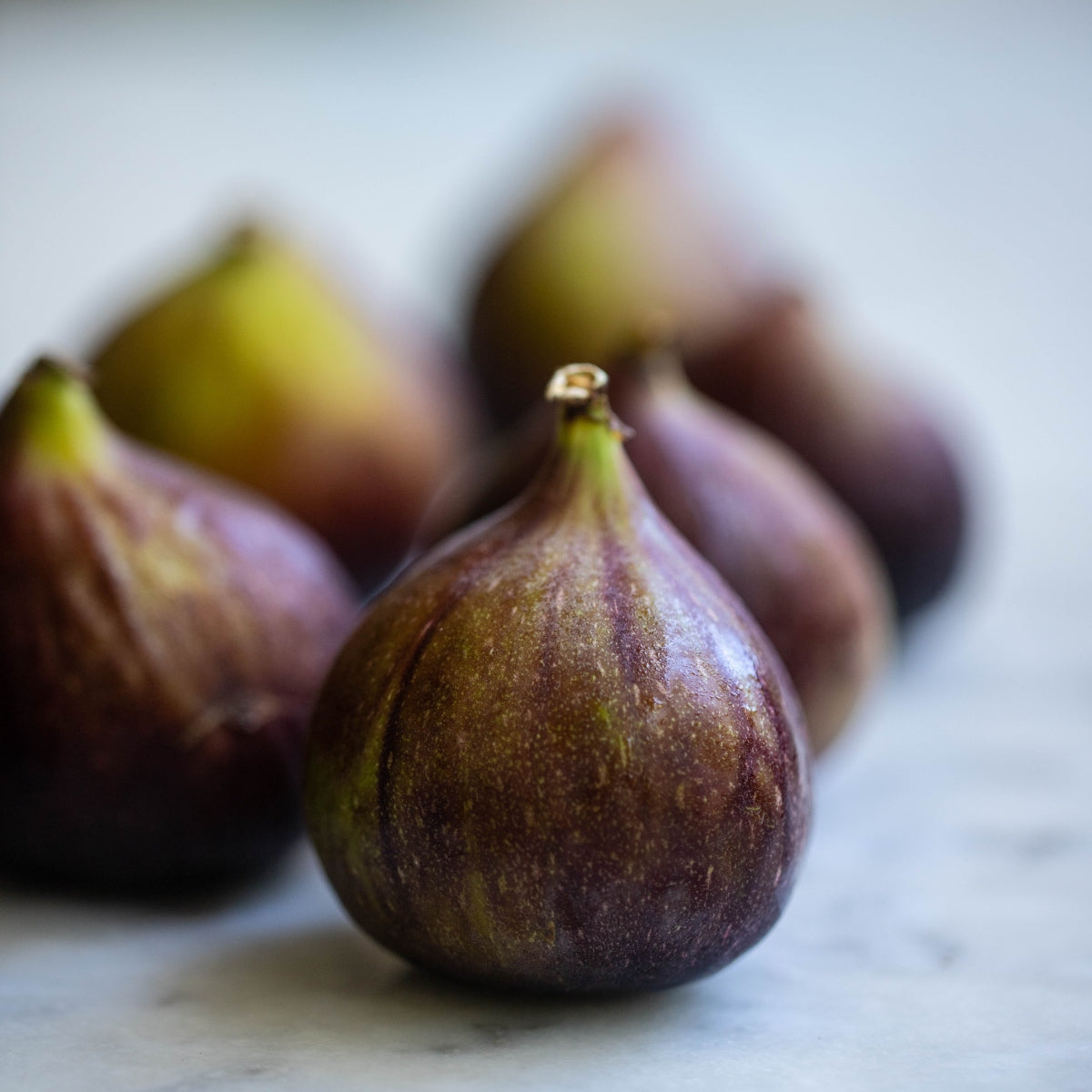 A group of six figs pictured on a white marble countertop