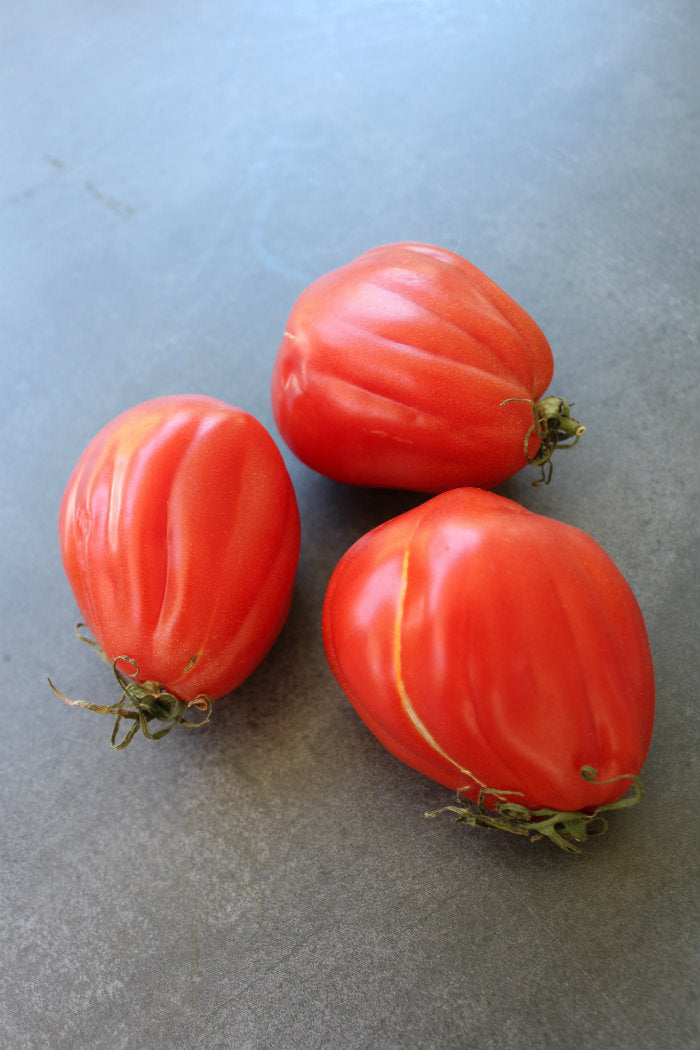 Fresh Tomato Bloody Mary