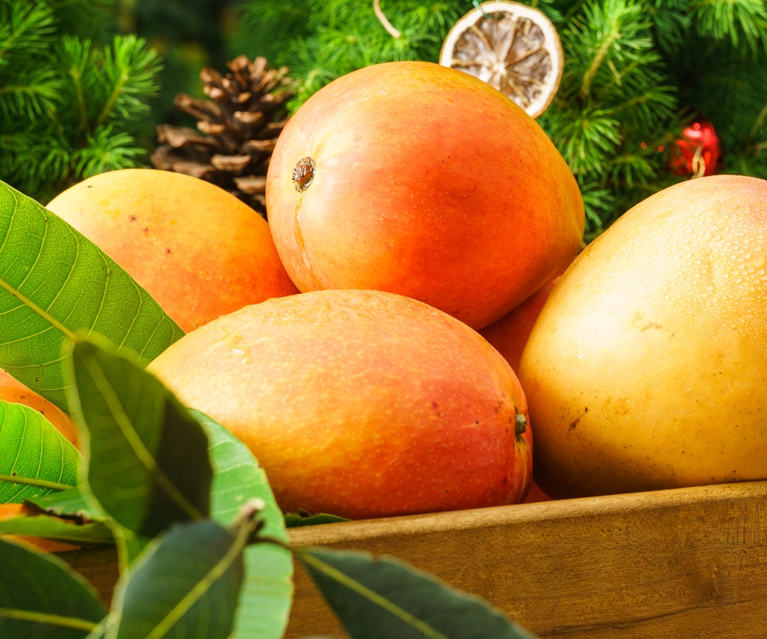 A box full of ripe KP mangoes from Katherine in the Northern Territory