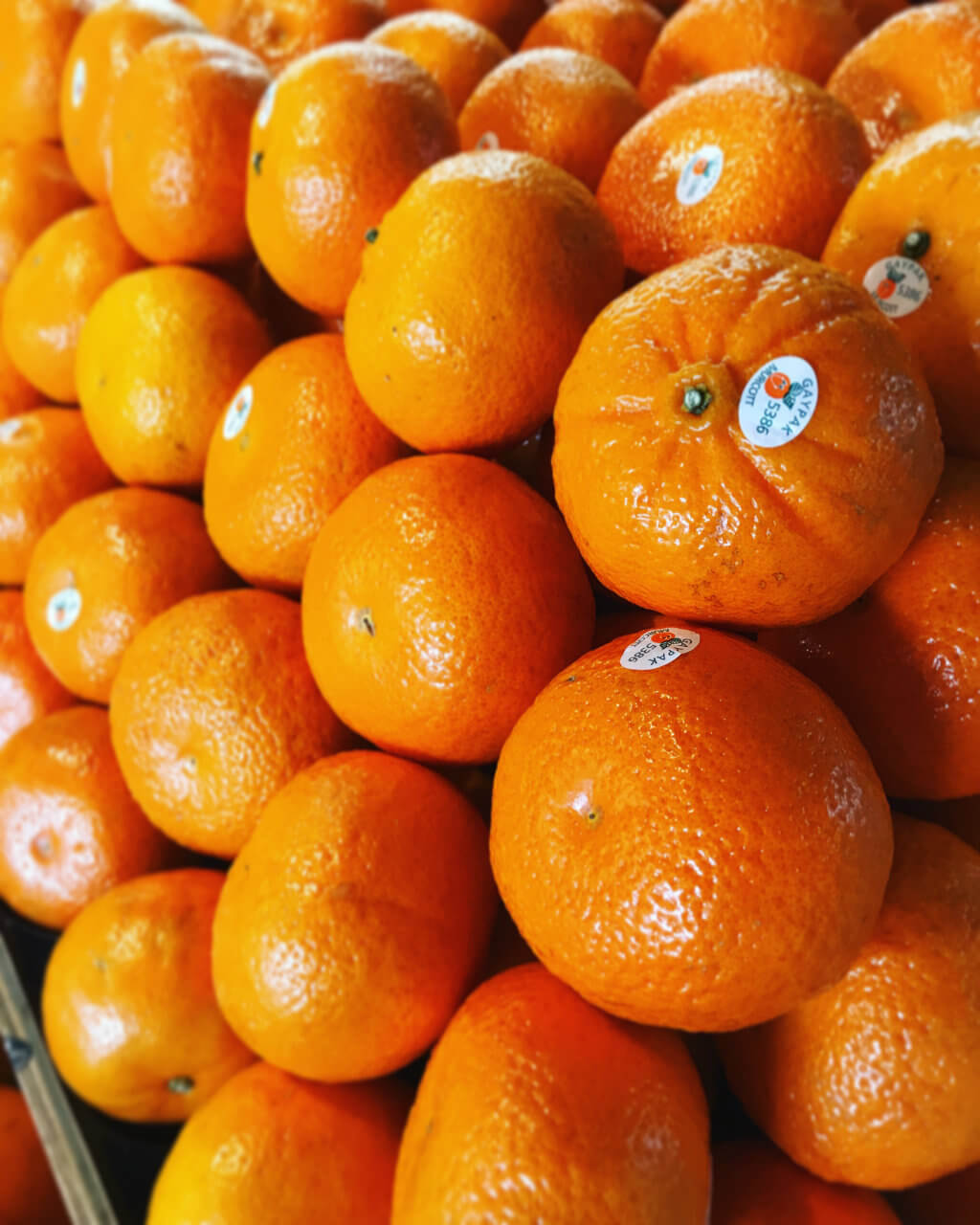 honey murcott mandarins