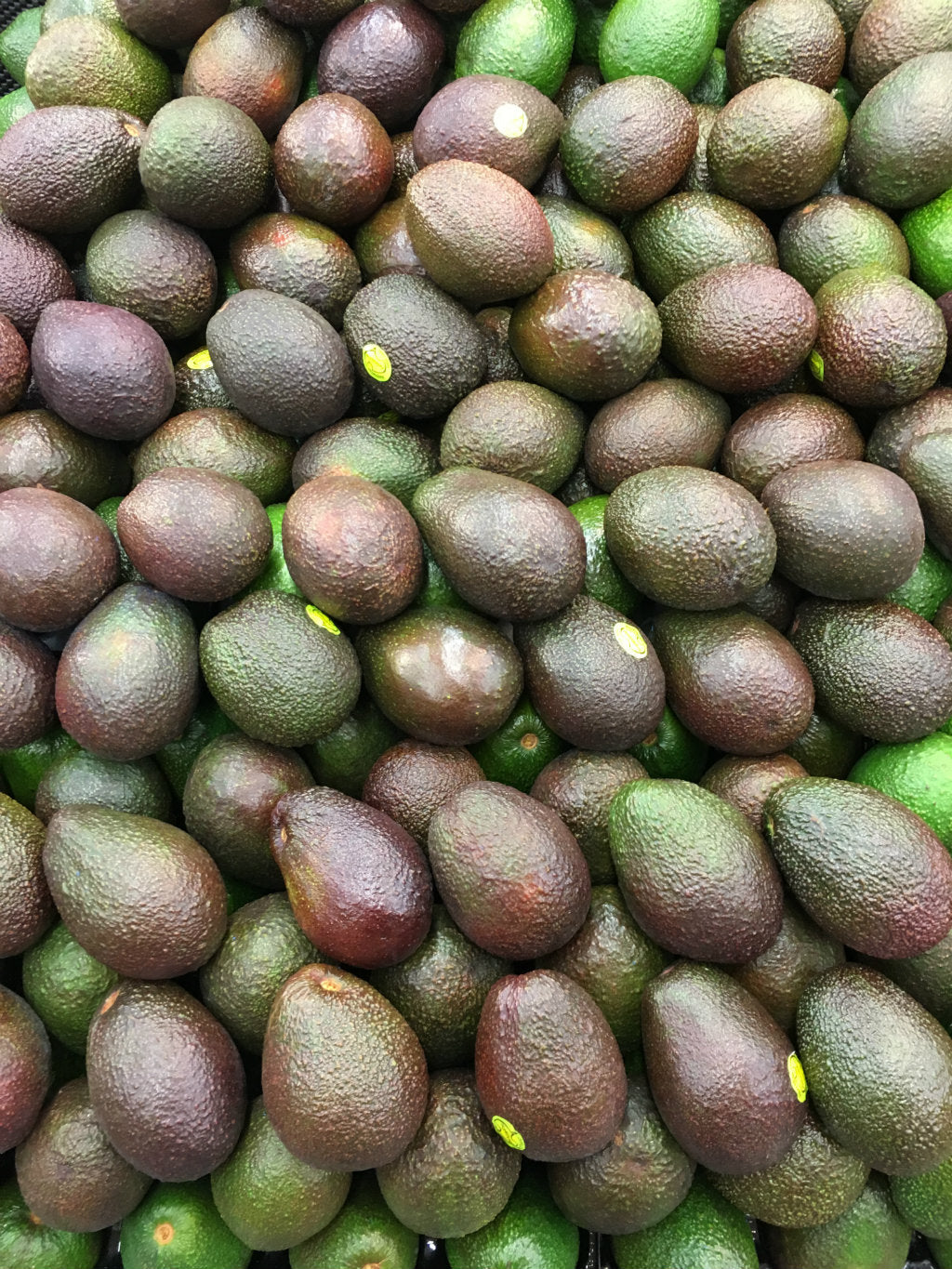 pick of the week western Australian avocados