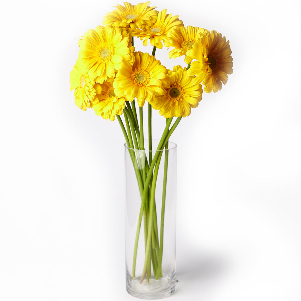 Gerberas Yellow | Flower Delivery | Harris Farm Markets | Harris Farm  Markets