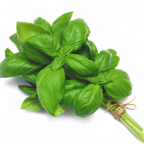 Basil (bunch)  Harris Farm Markets