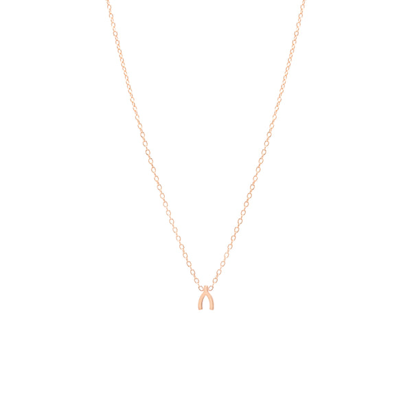 Zoë Chicco 14k Gold Itty Bitty Horseshoe Necklace – ZOË CHICCO