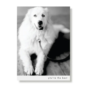 You're the Best Pyr Greeting Card - Sold individually - BIG Gentle Dogs