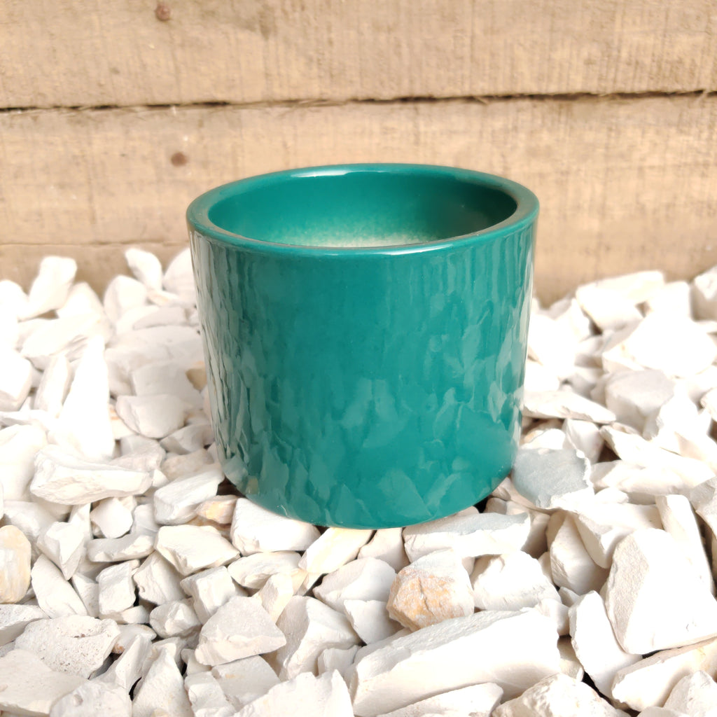 Pot & Flotteur Green Clay - Prêt à Pousser 🇫🇷