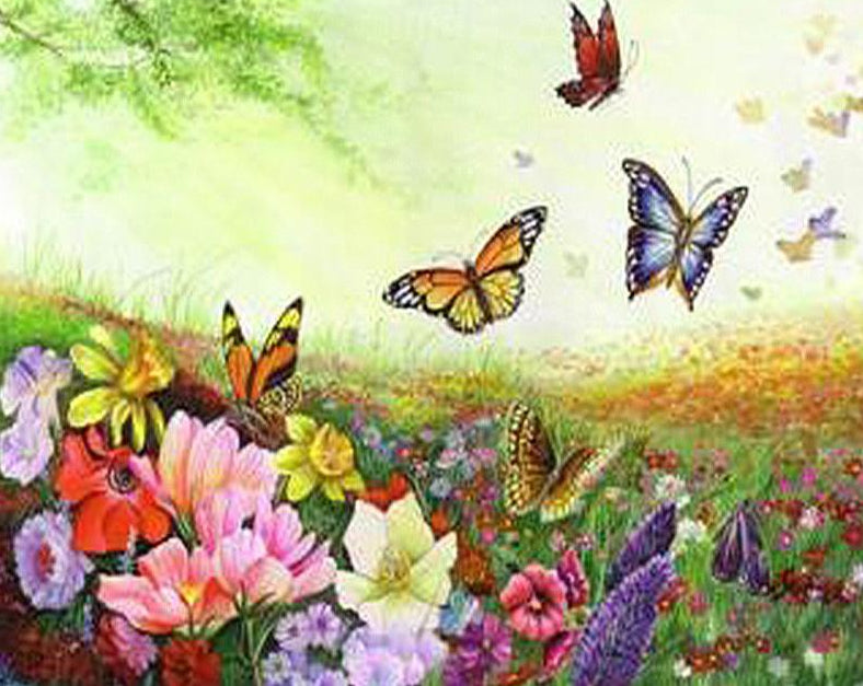 Paint by Numbers Kit – Butterfly and Flowers – paintingnumberart