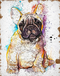 French Bulldog Paint by Numbers - Paint by Numbers Home