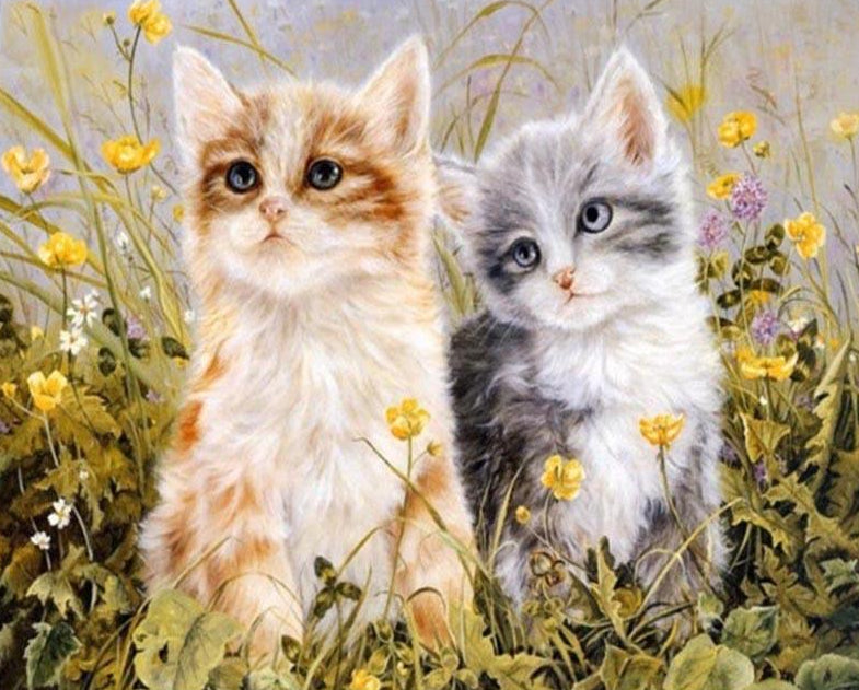 Bạn muốn trải nghiệm sự thư giãn với việc sơn theo số? Hãy thử cảm giấc ái tình đôi lứa của bạn với bức tranh sơn theo số mèo dễ thương này! Sản phẩm của bạn sẽ đẹp mắt và sẽ làm bạn cảm thấy thỏa mãn khi hoàn thành.