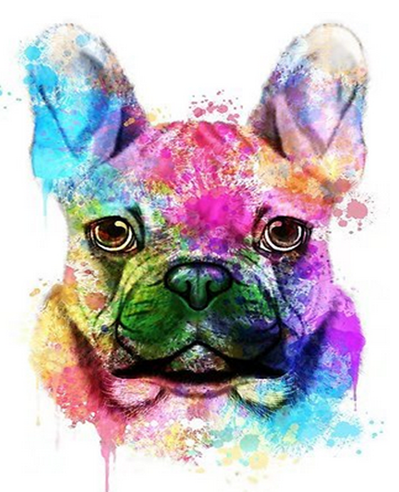 Rainbow Colored French Bulldog – Paint 