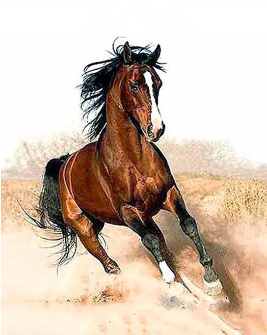 brown running horses