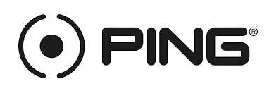 PING Logo