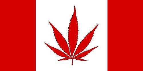 Image result for canadian marijuana flag