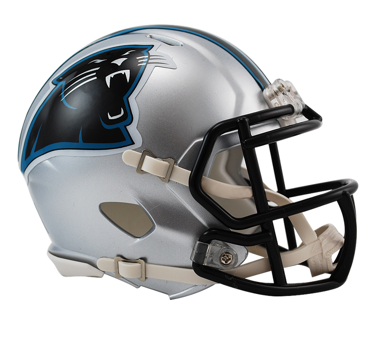 mini panthers helmet