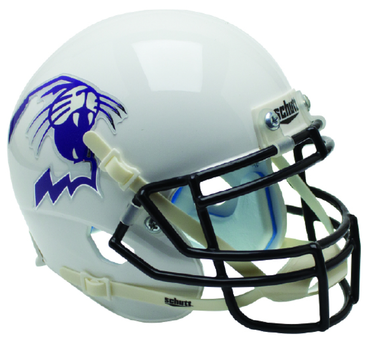 northwestern mini helmet