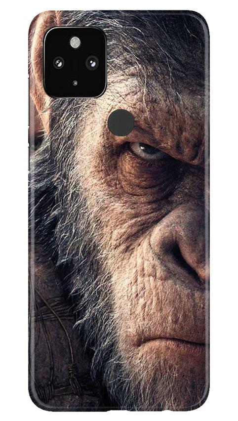 Angry Ape Mobile Back Case for Google Pixel 4a (Design - 316)