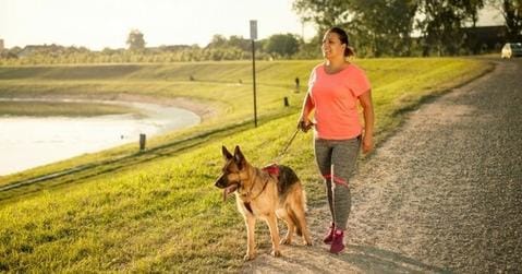 Femme qui pratique la cani marche avec son chien