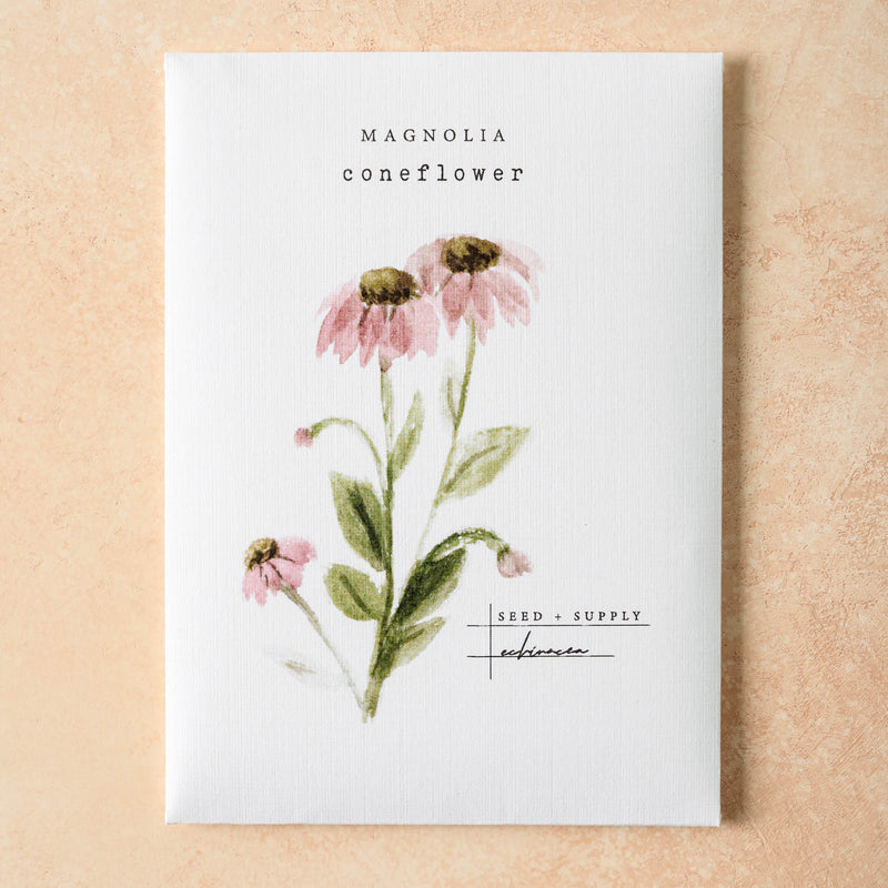 Watercolor Magnolia Seeds coneflower