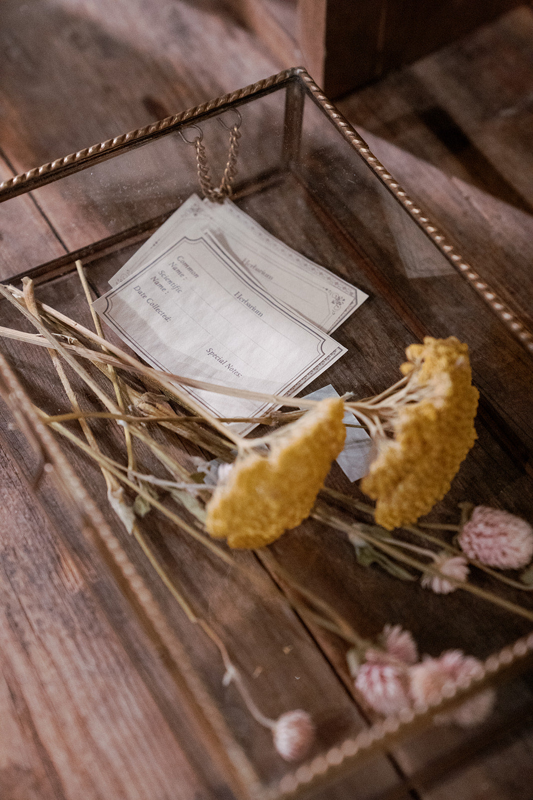 Dried flowers sit in a glass box beside paper slips.