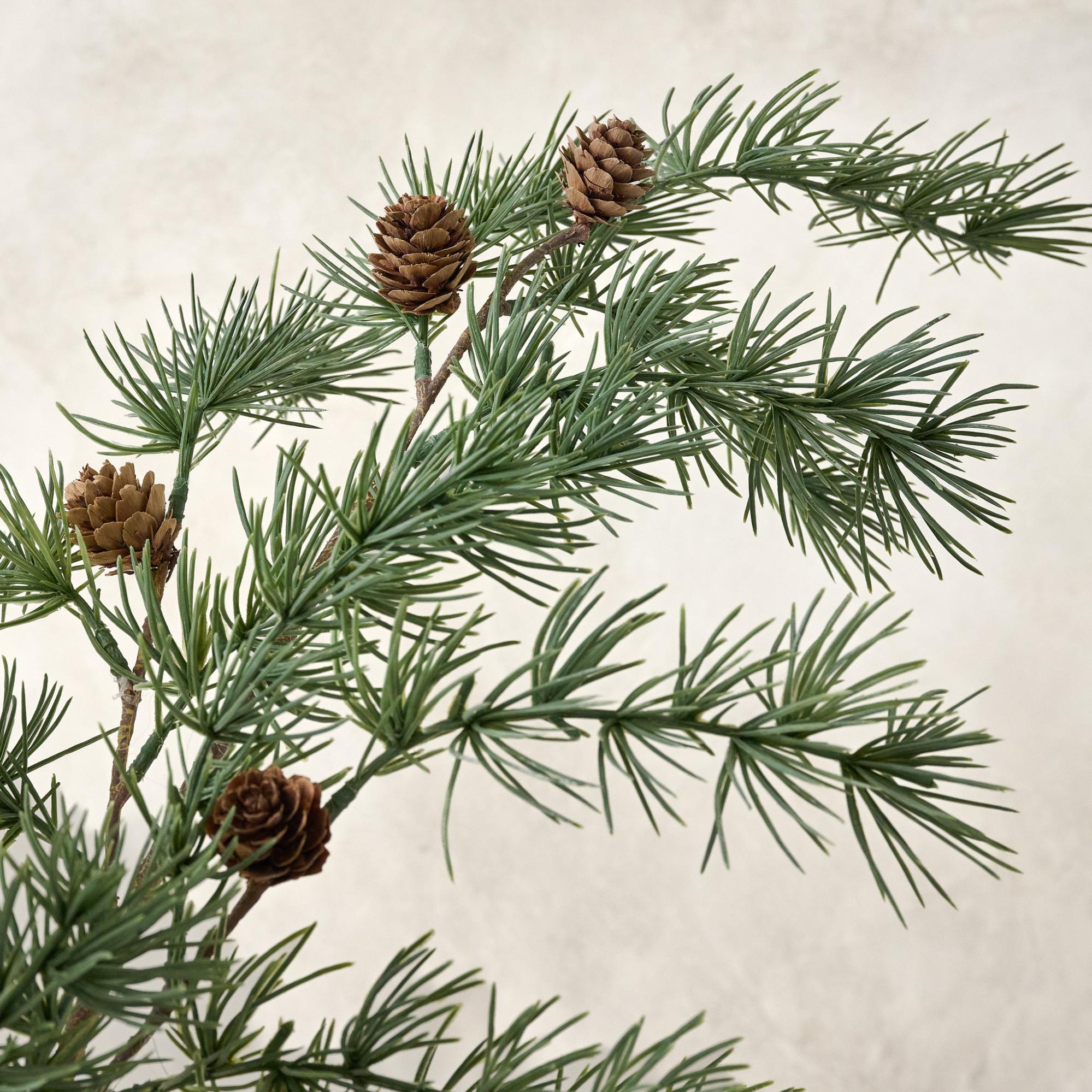 Pinecone Spray Bundle