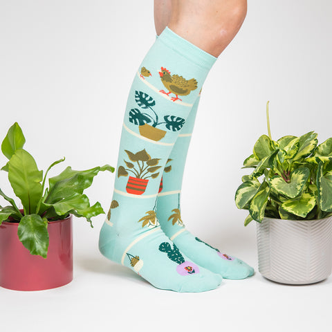 Hen & Chicks Knee High Socks