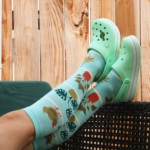 Hen & chicks knee high socks with mint green Crocs