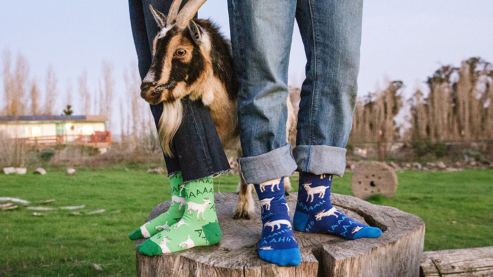 Screaming Goats socks, perfect for extroverts!