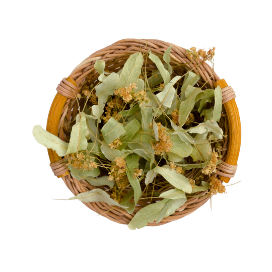 Linden Flower Image 1