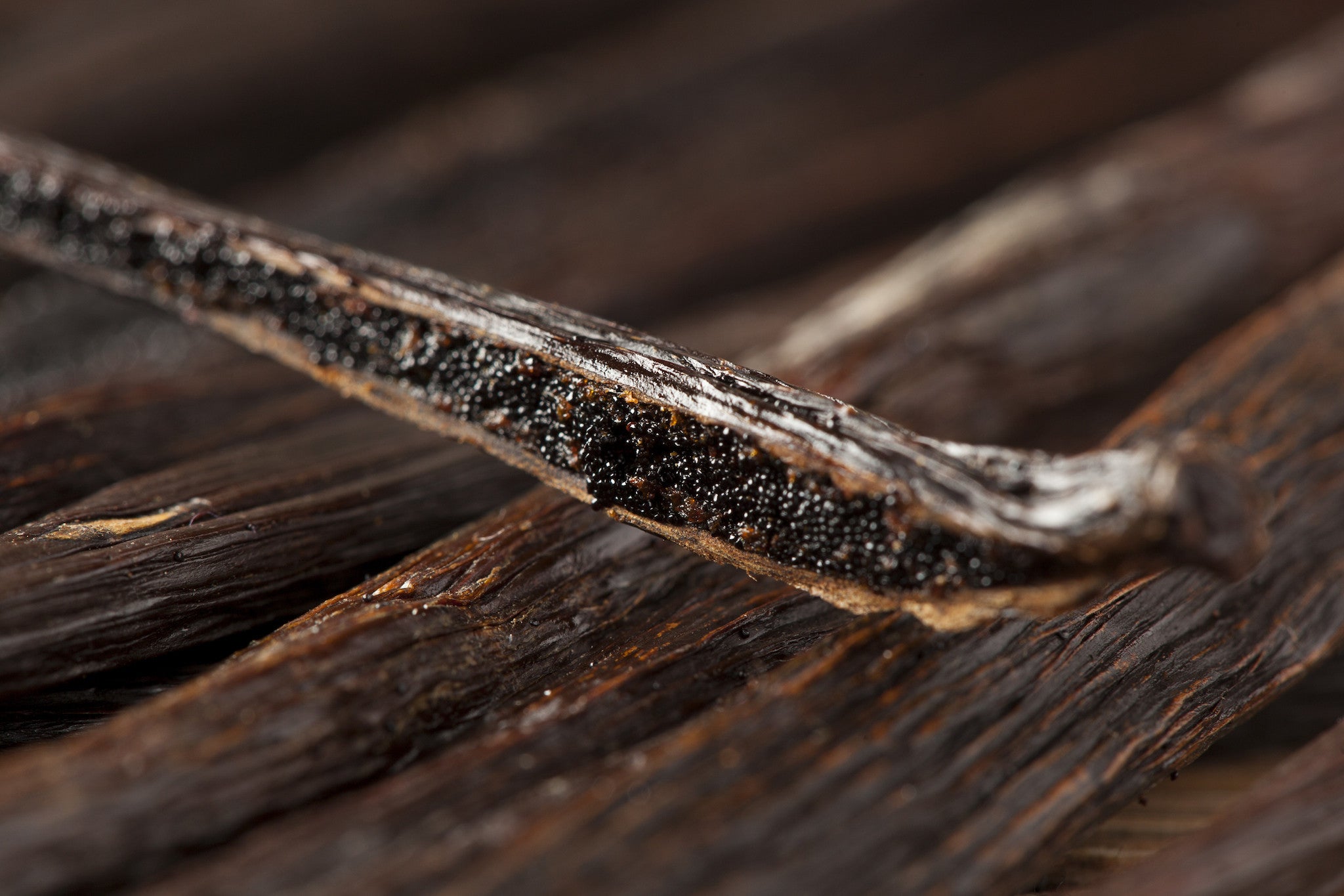  Madagascar Vanilla Beans  Red Stick Spice Company