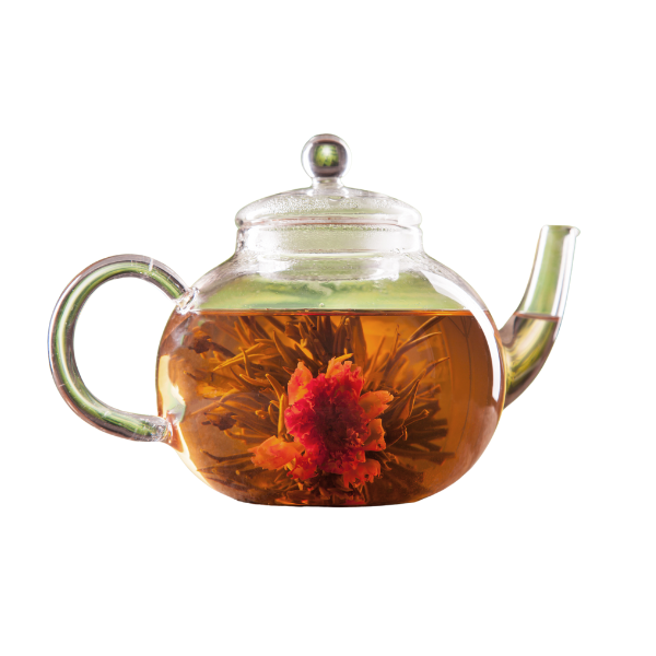 Clear Glass Teapot for Flowering Tea 450 ml / 15.2 oz