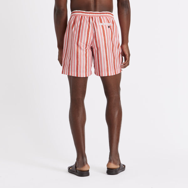 Coral Stripe