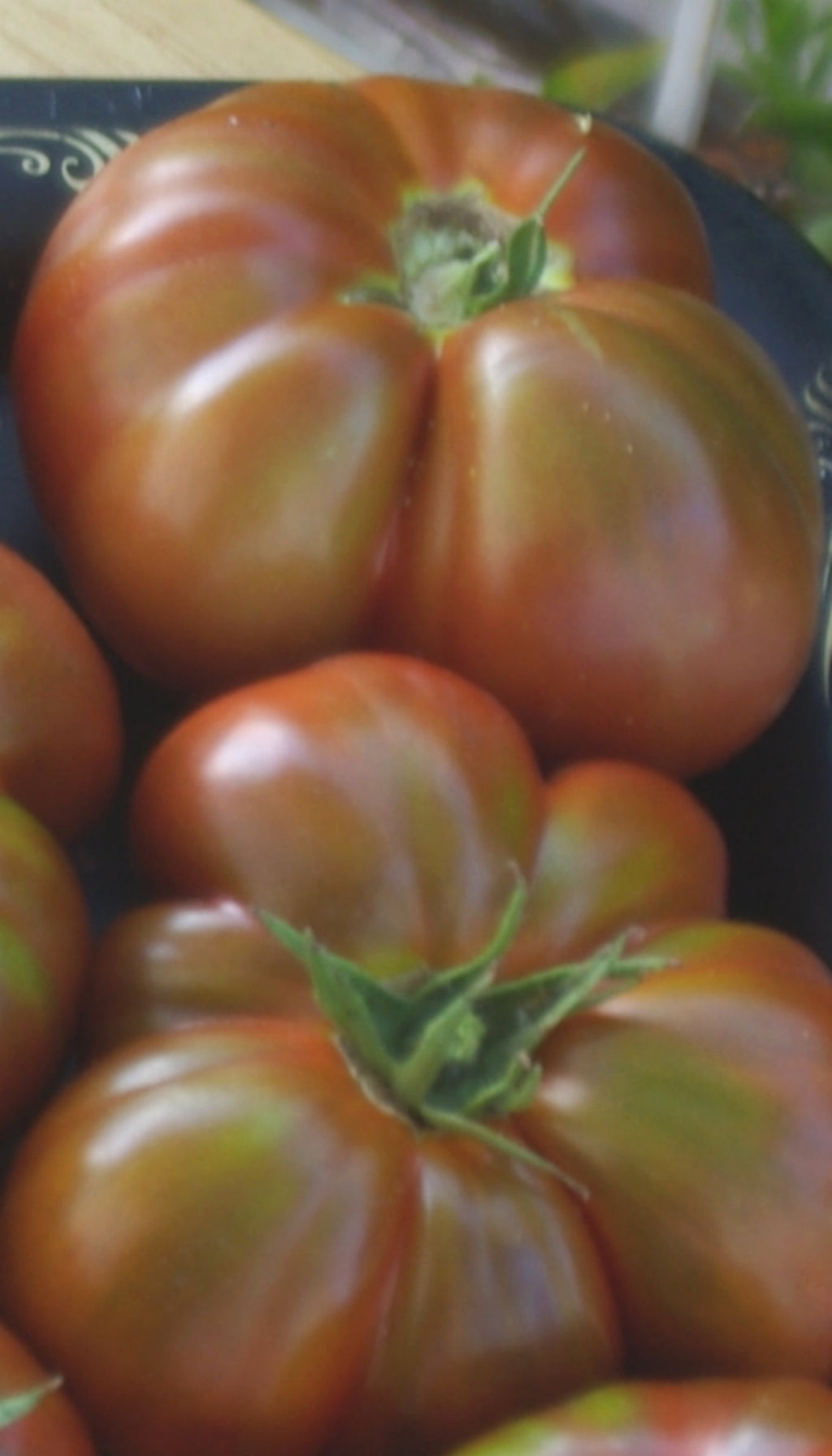 5.78 Vander Wielen Tomato Seeds