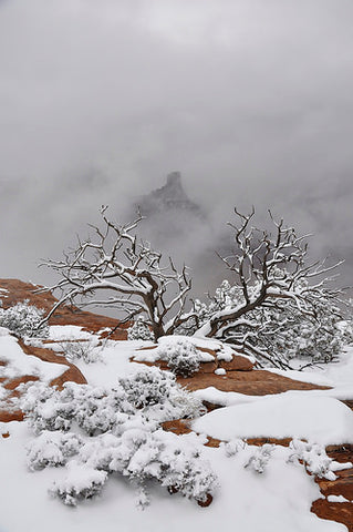 Dead Horse Point State Park